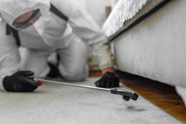 Professional Pest Control technician working in Gray, GA